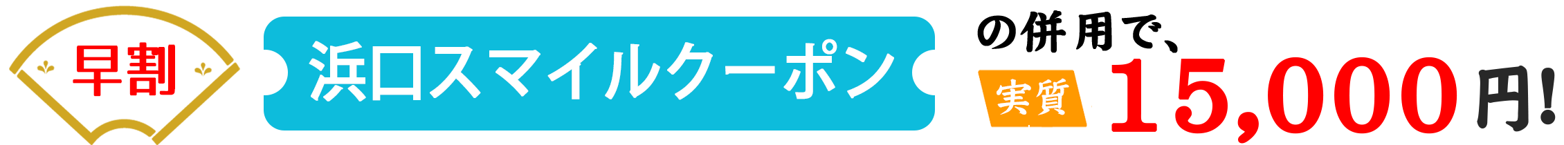 クーポン併用で実質15000円